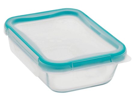 Snapware Total Solution 2 cups Clear Food Storage Container 1 pk For Sale