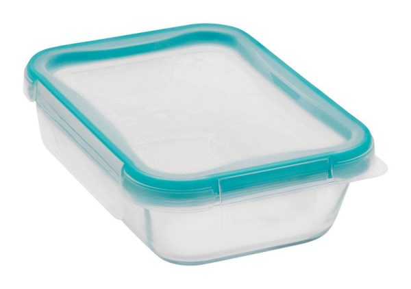 Snapware Total Solution 2 cups Clear Food Storage Container 1 pk For Sale