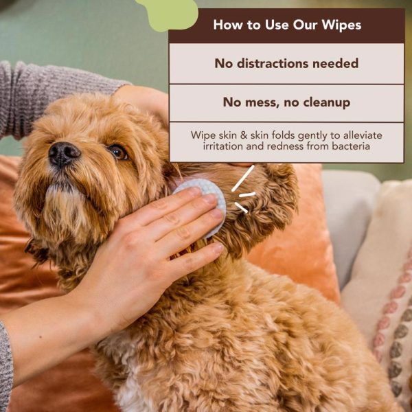 Natural Dog Company Dog Wound and Skin Solution Sale