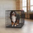 Pet Essentials Extra Large Steel Dog Crate Black 32.5 in. H X 30.25 in. W X 48.75 in. D Hot on Sale