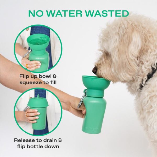 Springer Green Flip Plastic Pet Travel Bottle For Dogs Supply