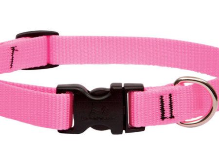 LupinePet Basic Solids Pink Pink Nylon Dog Adjustable Collar on Sale