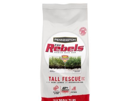 Pennington The Rebels Tall Fescue Grass Sun or Shade Grass Seed 7 lb Discount