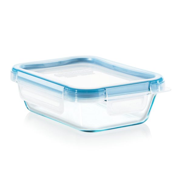 Snapware Total Solution 2 cups Clear Food Storage Container 1 pk For Sale