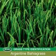 Scotts Turf Builder Argentine Bahiagrass Sun or Shade Grass Seed 5 lb Cheap