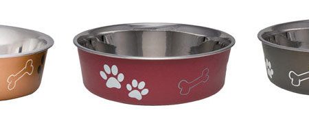 Loving Pets Assorted Bones and Paw Prints Stainless Steel Extra Large Pet Bowl For Dog Fashion